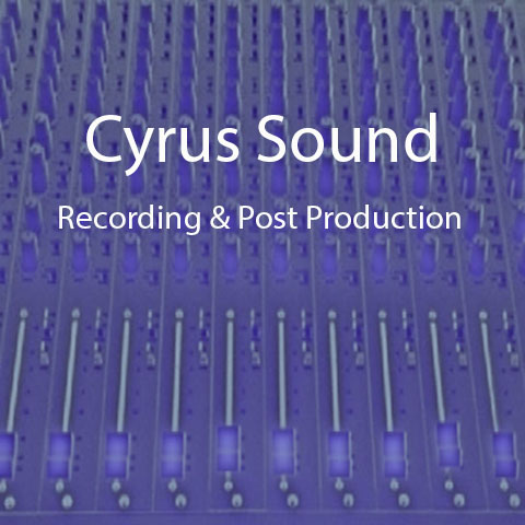 Cyrus Sound- Cy Anderson Musical Services | 3545 South Park Rd, Bethel Park, PA 15102, USA | Phone: (412) 854-2076