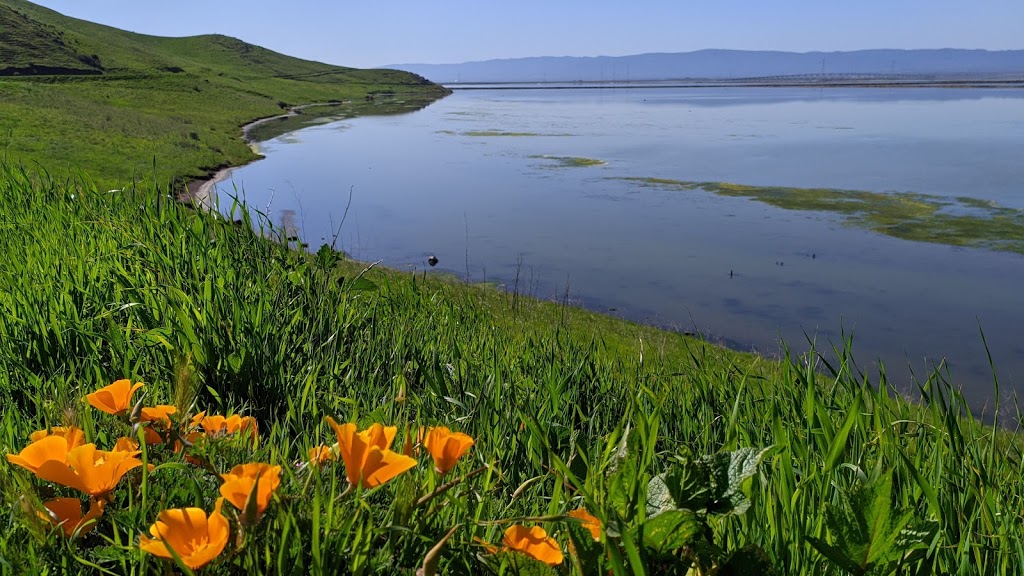 Coyote Hills Regional Park | 8000 Patterson Ranch Rd, Fremont, CA 94555, USA | Phone: (510) 544-3220