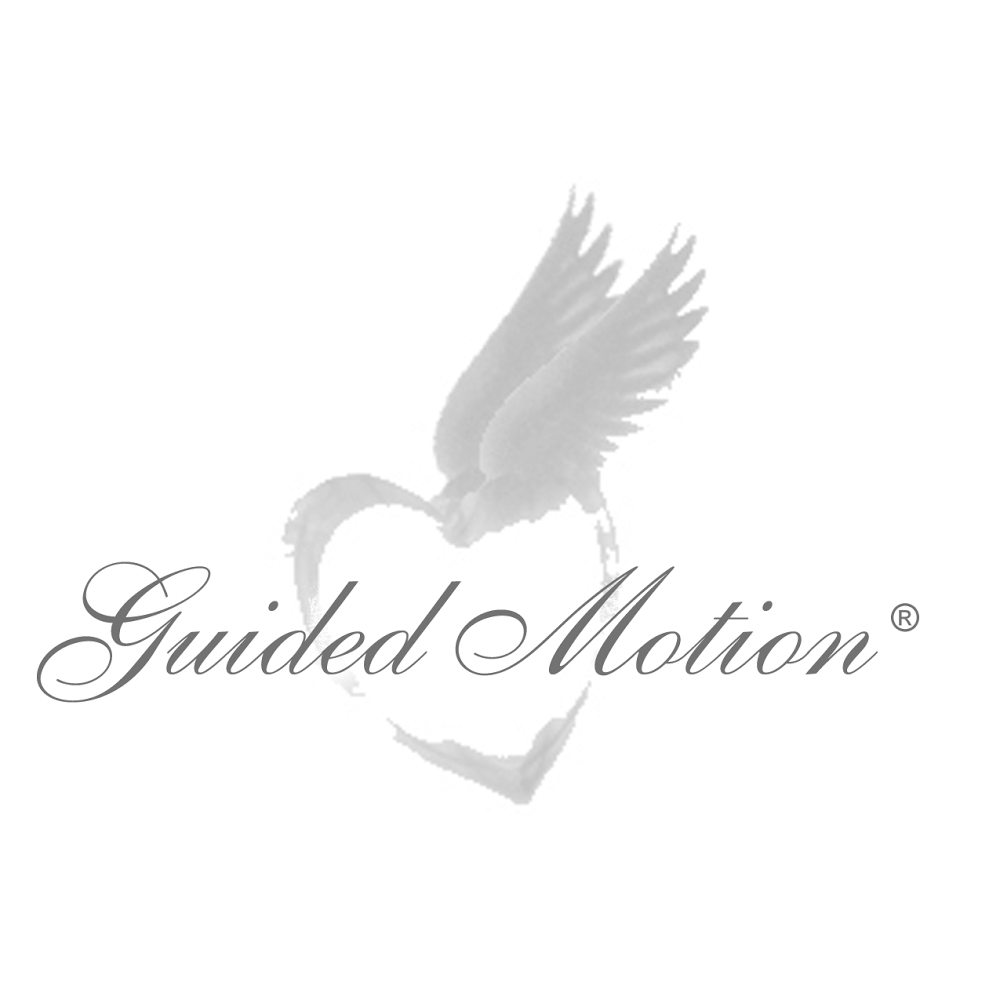 Guided Motion, LLC | 102 Russell Rd, Roswell, GA 30075, USA | Phone: (678) 431-7096