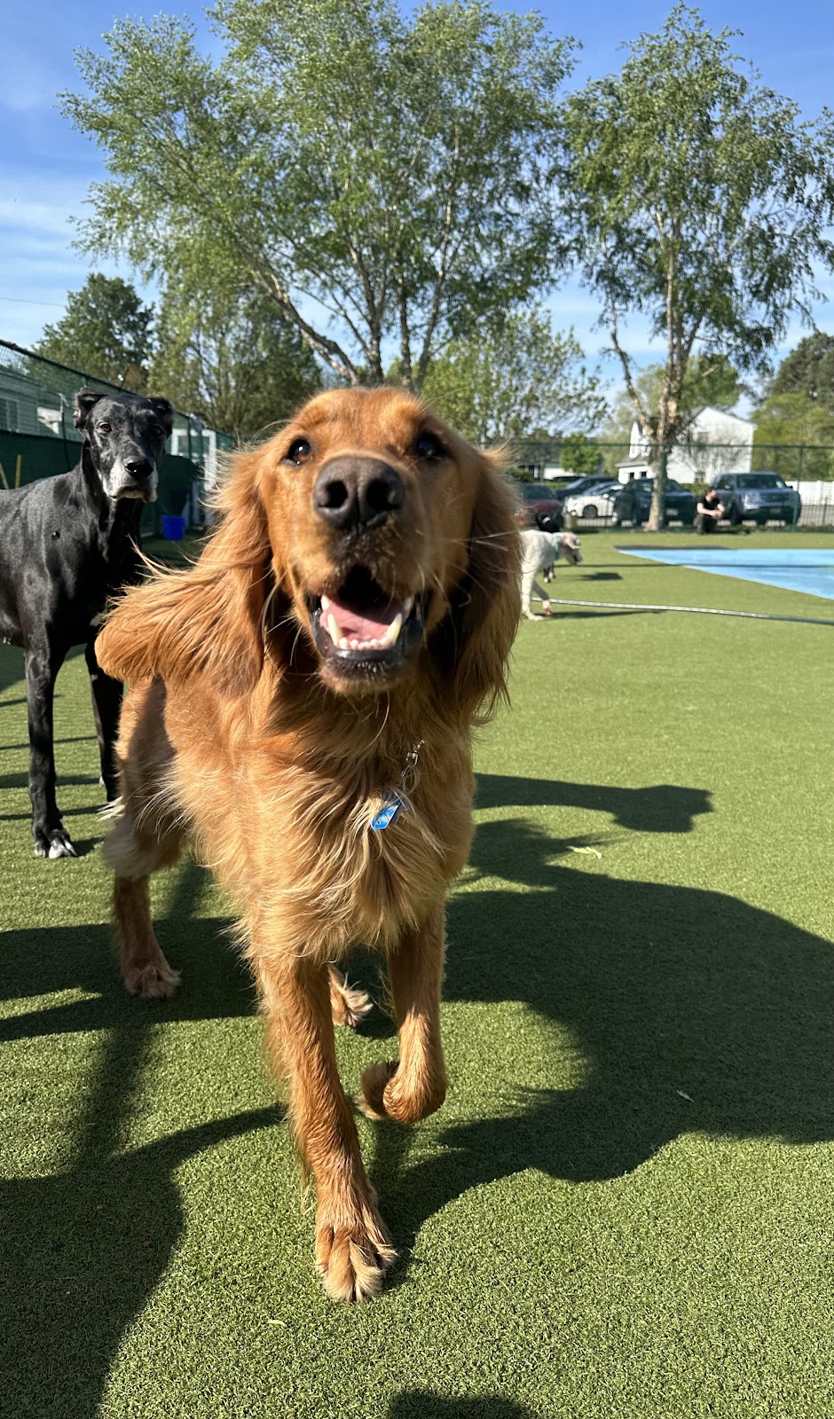 Sterling Meadows Trailer Sales | 3756 Indian River Rd, Virginia Beach, VA 23456, USA | Phone: (757) 471-2133