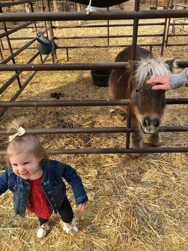 Jr Pony Parties | 1744 N Leonard Ln, Las Vegas, NV 89108, USA | Phone: (702) 631-4142