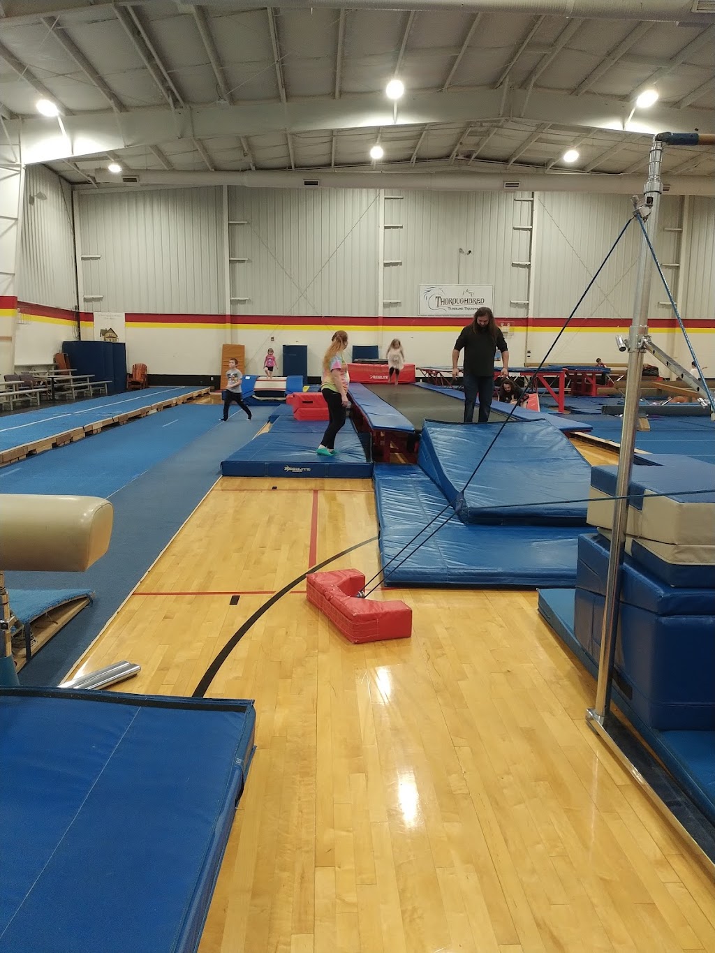 Thoroughbred Gymnastics Inc | 645 Westmeade Dr, Winchester, KY 40391, USA | Phone: (859) 744-7068