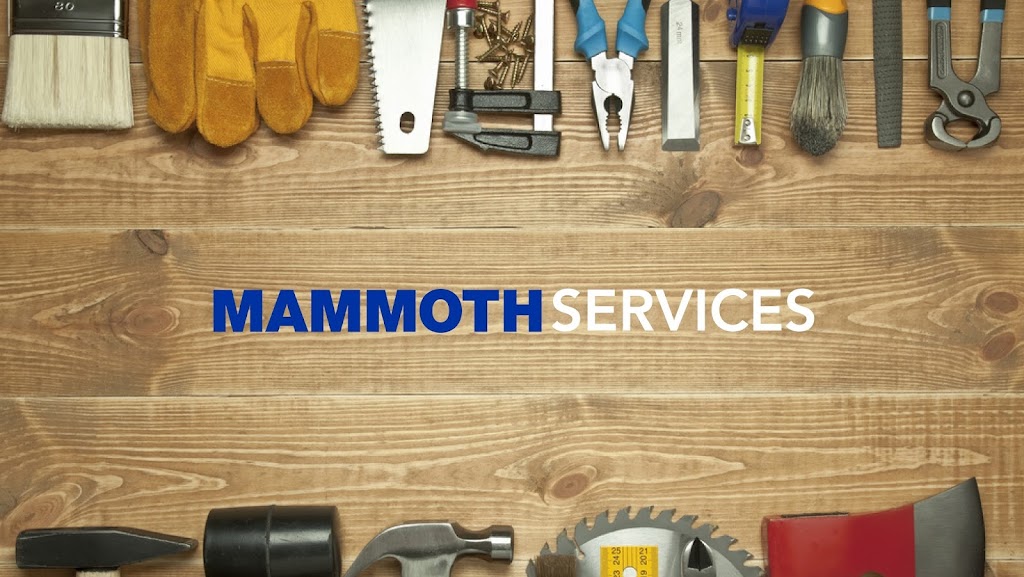 Mammoth Services | 1011 N Val Vista Dr #102, Gilbert, AZ 85234, USA | Phone: (480) 788-6615