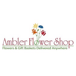 Ambler Flower Shop-Gift Baskets | 107 E Butler Ave, Ambler, PA 19002, United States | Phone: (215) 646-0507