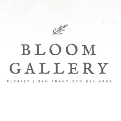 Bloom Gallery Flowers | 3150 18th St #205, San Francisco, CA 94110, United States | Phone: (415) 545-8559