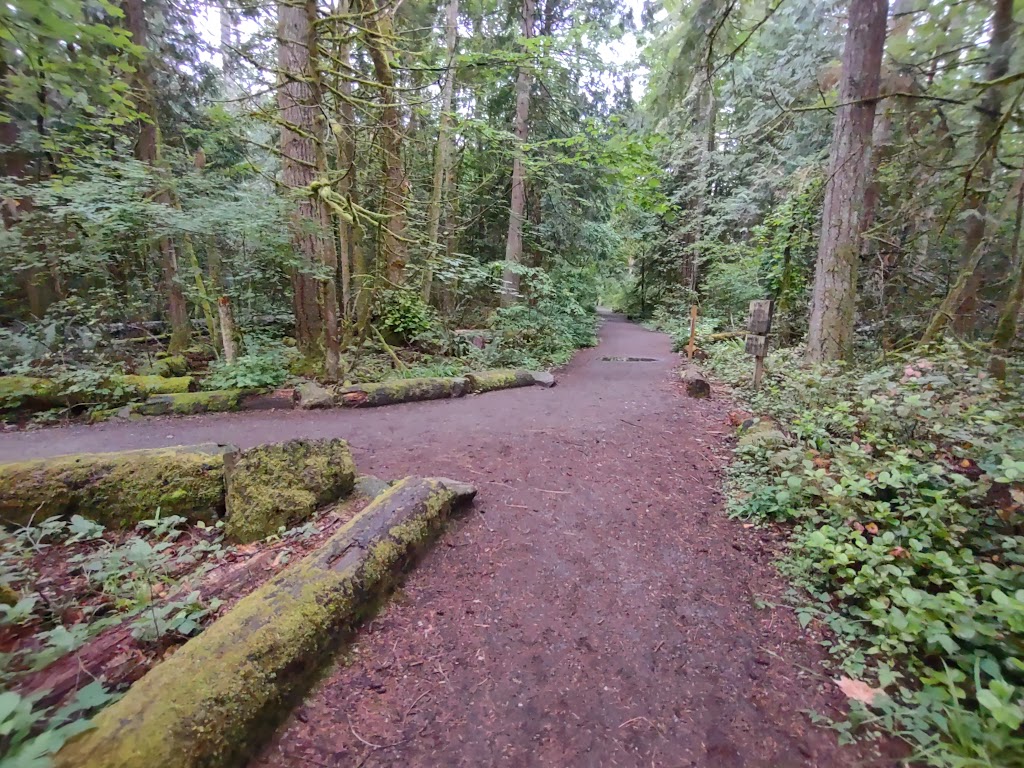 Highpoint Trailhead | Parking lot, 26415 SE 79th St, Issaquah, WA 98027, USA | Phone: (206) 625-1367