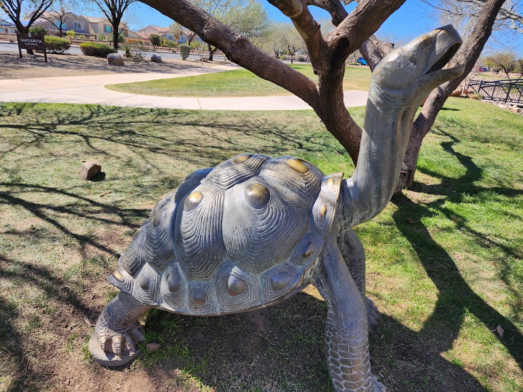 Sahuarita Lake Park - Town of Sahuarita | 15466 S Rancho Sahuarita Blvd, Sahuarita, AZ 85629, USA | Phone: (520) 445-7850