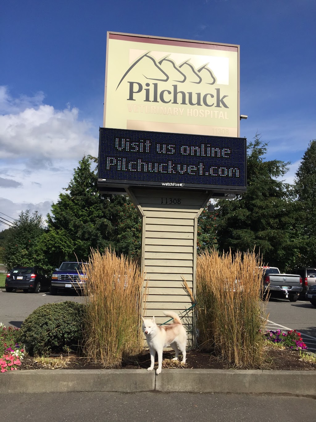 Pilchuck Veterinary Hospital | 11308 92nd St SE, Snohomish, WA 98290, USA | Phone: (360) 568-3113