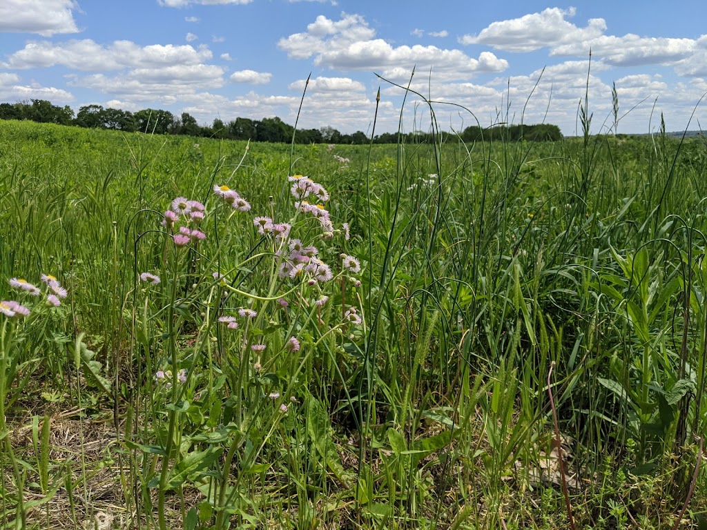 Engelmann Farm Park | 309 Shiloh Station Rd, OFallon, IL 62269, USA | Phone: (618) 277-6600