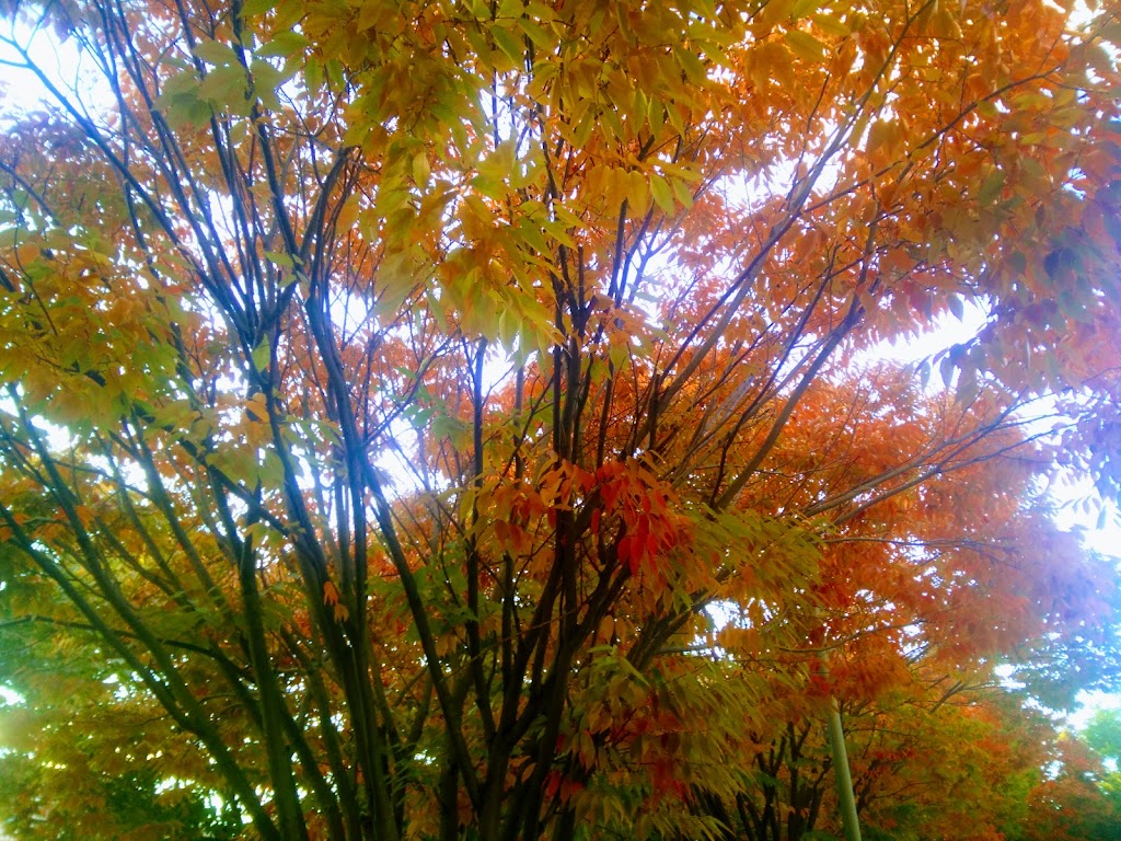 Empire Commons | Suny Campus Rd, Albany, NY 12206, USA | Phone: (518) 956-6250