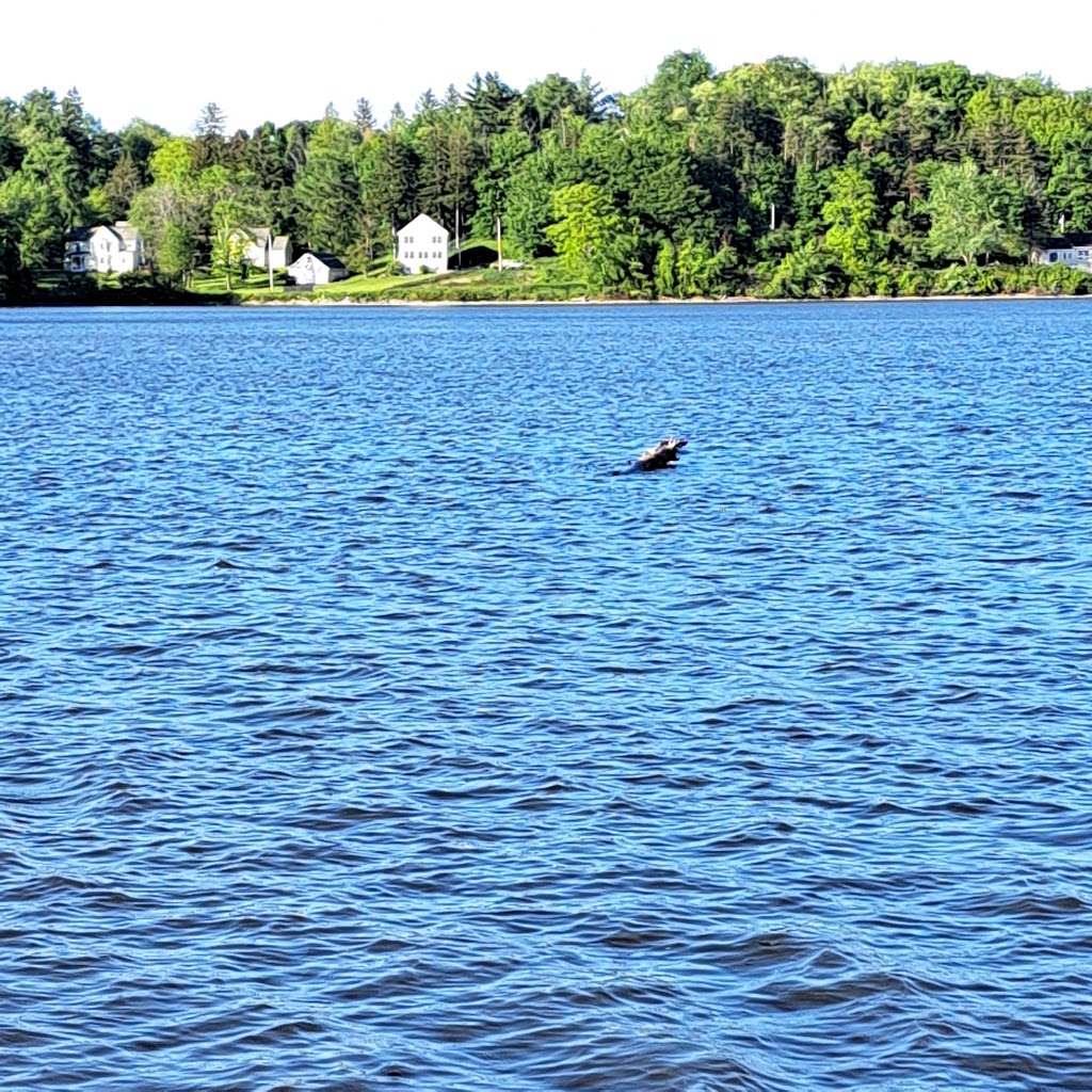 Albany Marine Services Marina | 1395 Loudon Rd, Cohoes, NY 12047, USA | Phone: (518) 783-5333