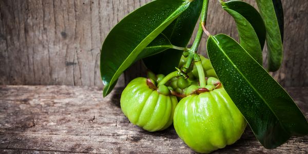 Garcinia Cambogia 100 Pure | 12711 Ventura Blvd #200, Studio City, CA 91604, USA | Phone: (310) 751-0318