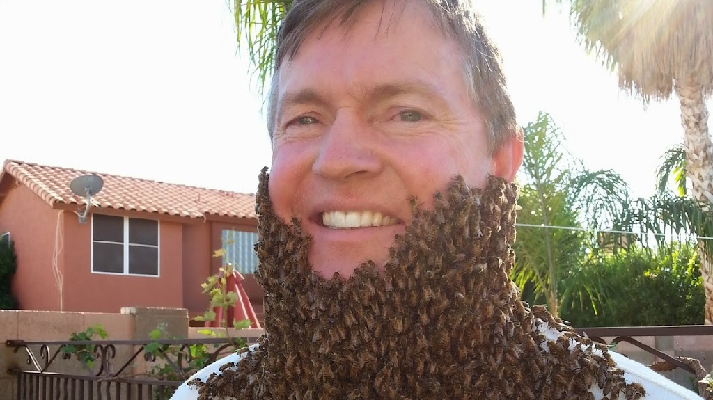 The Beehive Bee and Wasp Removal | 17828 N 10th Ave, Phoenix, AZ 85023 | Phone: (602) 600-5382