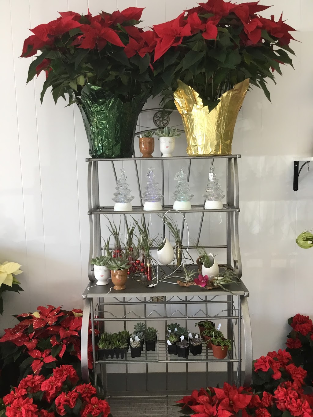 Green Belladonna Florist | 4195 Massillon Rd #223, Uniontown, OH 44685, USA | Phone: (330) 546-0026