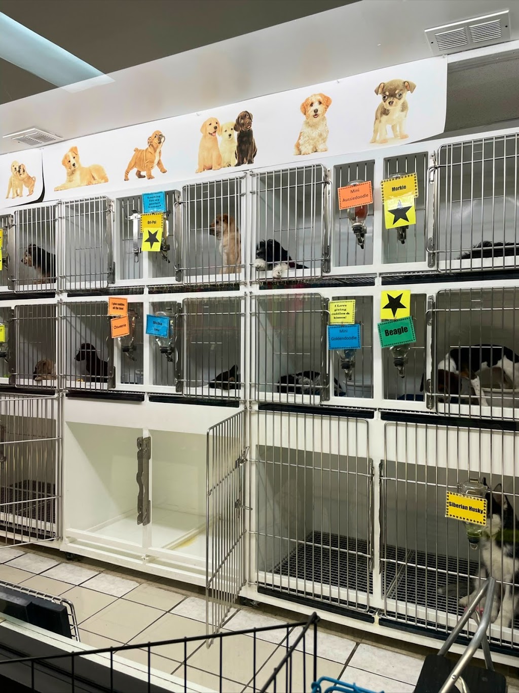 Pet Zone | 1 Crossgates Mall Rd, Albany, NY 12203 | Phone: (518) 218-7387