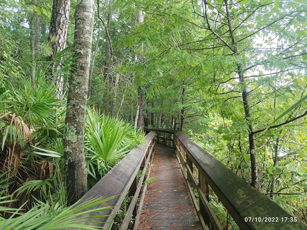 University Of North Florida Nature Trails | Recreation and Wellness, 1 UNF Dr. Bldg 61, Rm 1200, Jacksonville, FL 32224, USA | Phone: (904) 620-4769