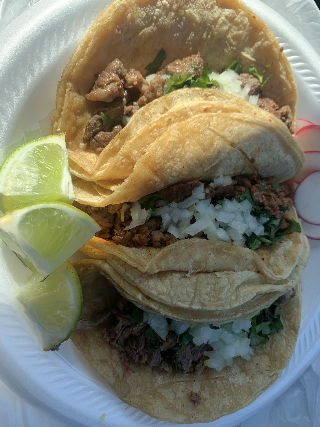 Tacos El Panda | 3555 Washtenaw Ave, Ann Arbor, MI 48104, USA | Phone: (734) 985-8702