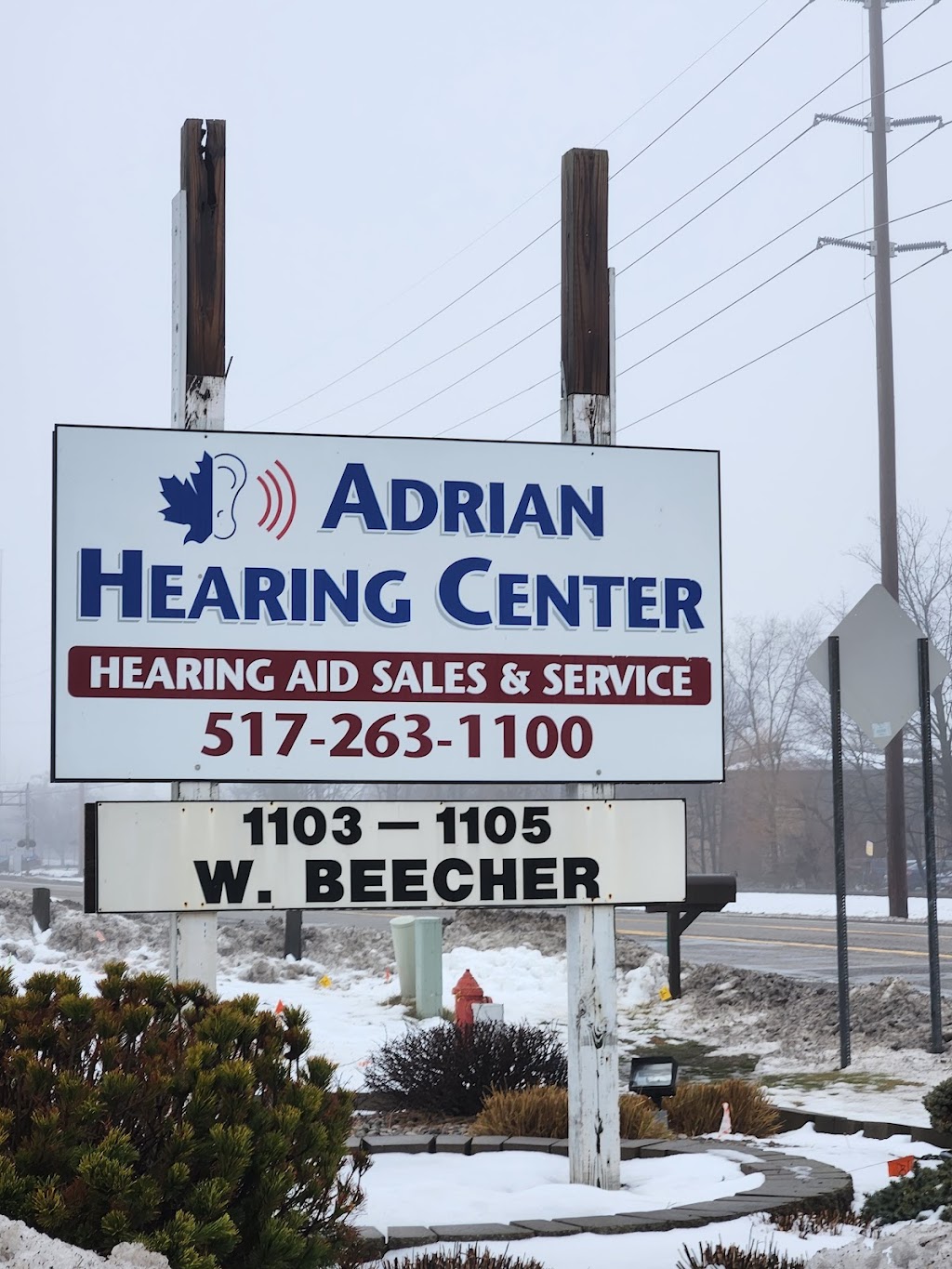 Adrian Hearing Center | 1103 W Beecher St, Adrian, MI 49221, USA | Phone: (517) 263-1100