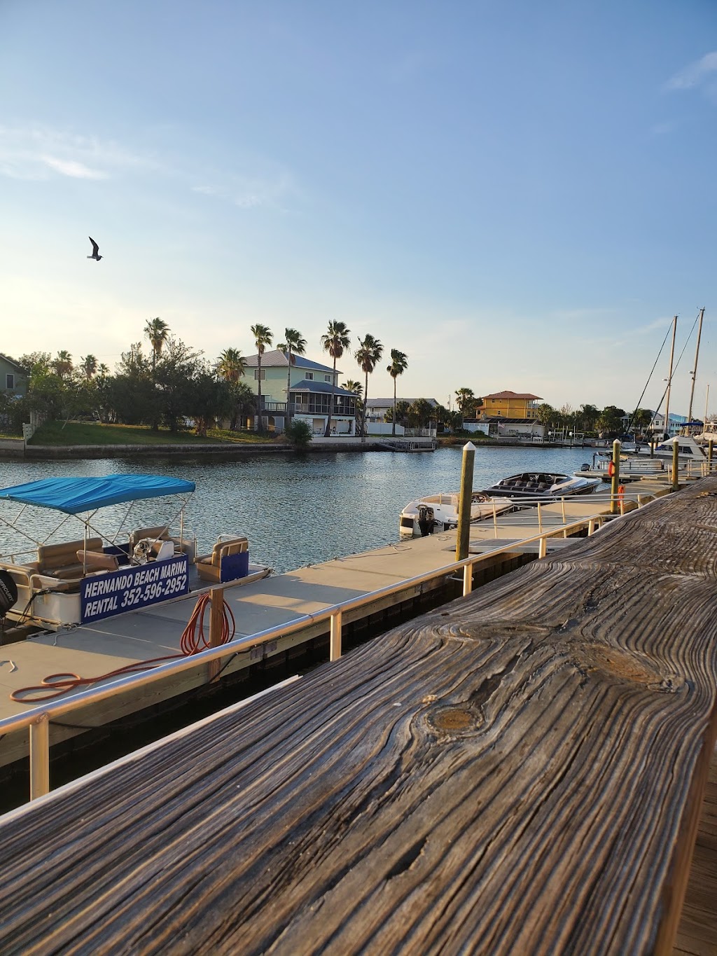 Hernando Beach Marina | 4139 Shoal Line Blvd, Hernando Beach, FL 34607, USA | Phone: (352) 596-2952