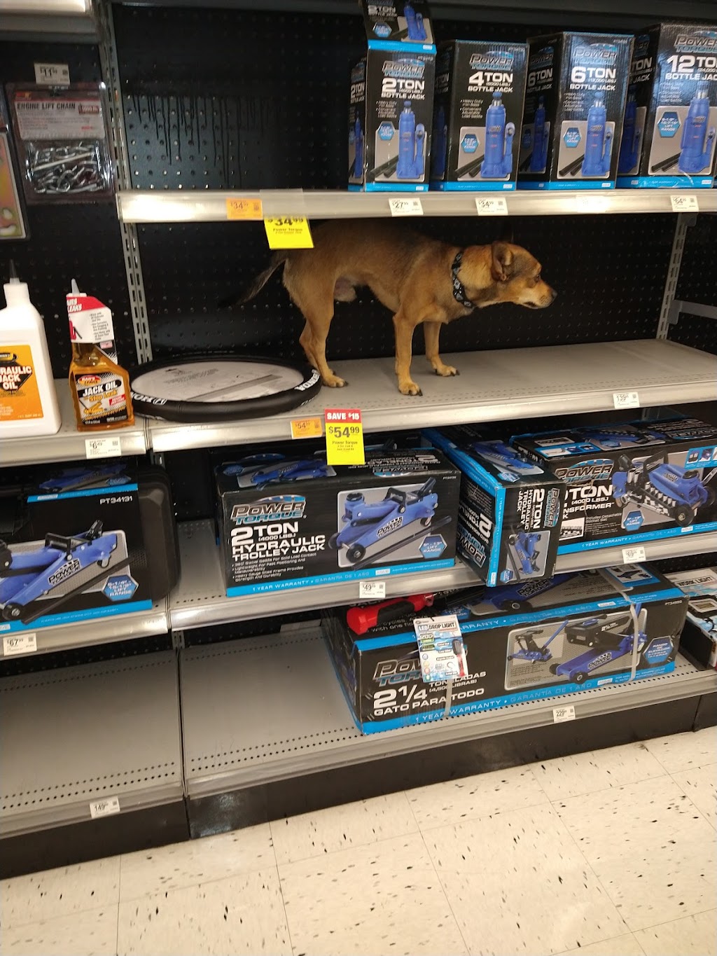OReilly Auto Parts | 13710 W Waddell Rd, Surprise, AZ 85379, USA | Phone: (623) 544-9560