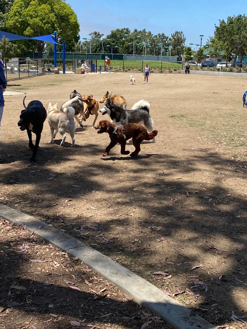 Poinsettia Dog Park | 6600 Hidden Valley Rd, Carlsbad, CA 92011, USA | Phone: (442) 339-2680