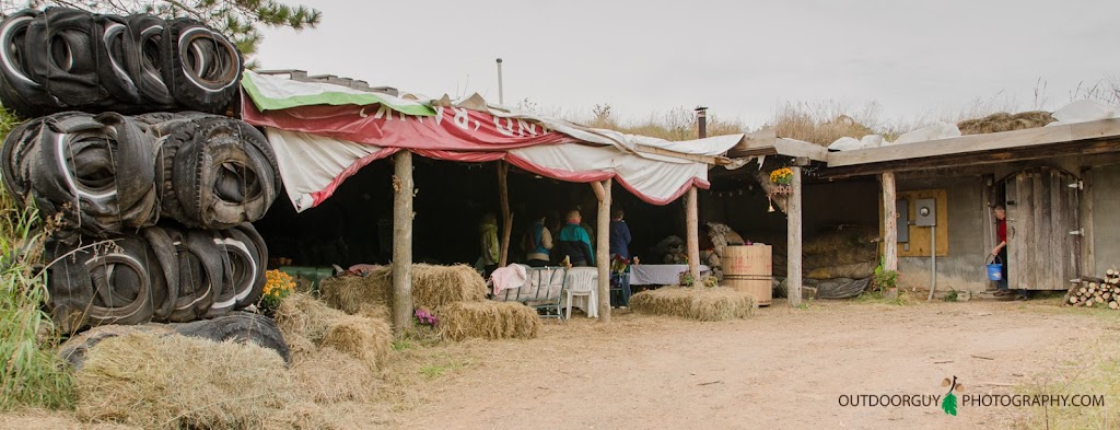 Love Tree Farmstead Cheese | 12413 Co Rd Z, Grantsburg, WI 54840, USA | Phone: (715) 488-2966