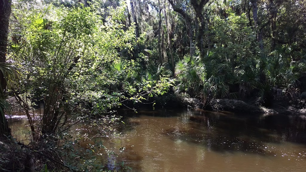 Alafia River Corridor Nature Preserve - South | 12098 S County Rd 39, Lithia, FL 33547, USA | Phone: (813) 672-7876