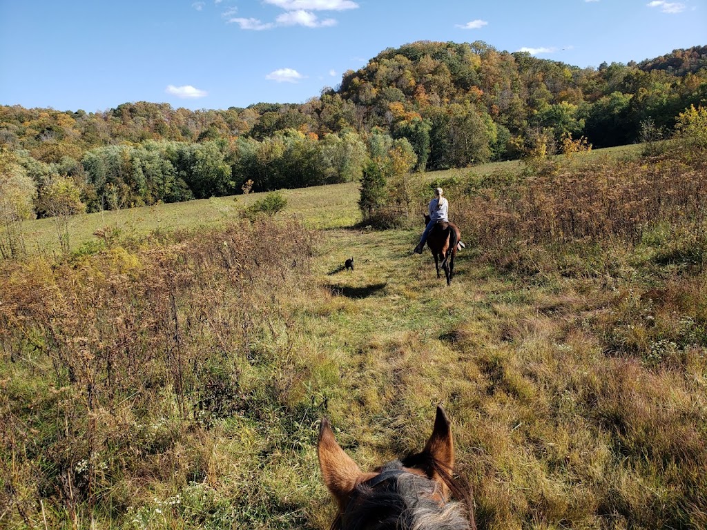 Licorice Ridge Farm | 500 Drowning Creek Rd, Waco, KY 40385, USA | Phone: (617) 240-6031