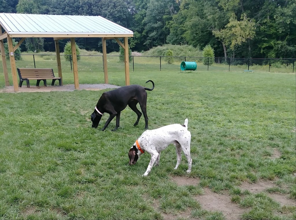 Andersen Dog Park | 414 Swaggertown Rd, Schenectady, NY 12302, USA | Phone: (518) 688-1200