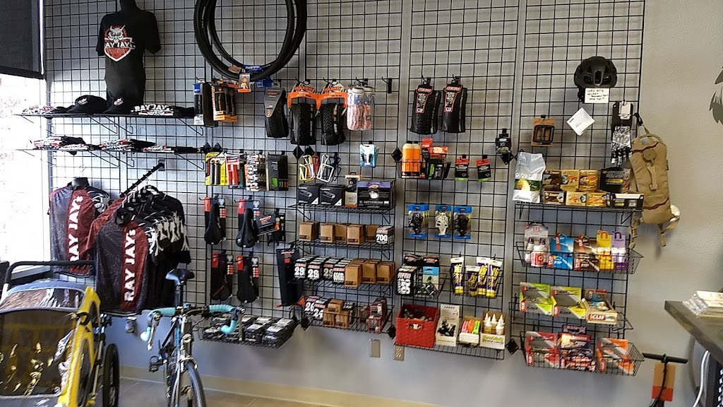 Ray Jays Bike Shop | 2430 N Davis Dr #112, Arlington, TX 76012, USA | Phone: (817) 200-7221