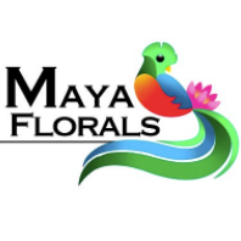 Maya Florals | 3646 NW 16th St, Lauderhill, FL 33311, USA | Phone: (954) 378-8808