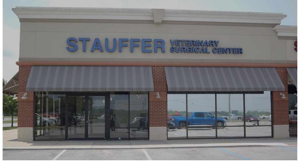 Stauffer Veterinary Surgical Center | 7305 E 96th St #100, Indianapolis, IN 46250, USA | Phone: (317) 397-1957