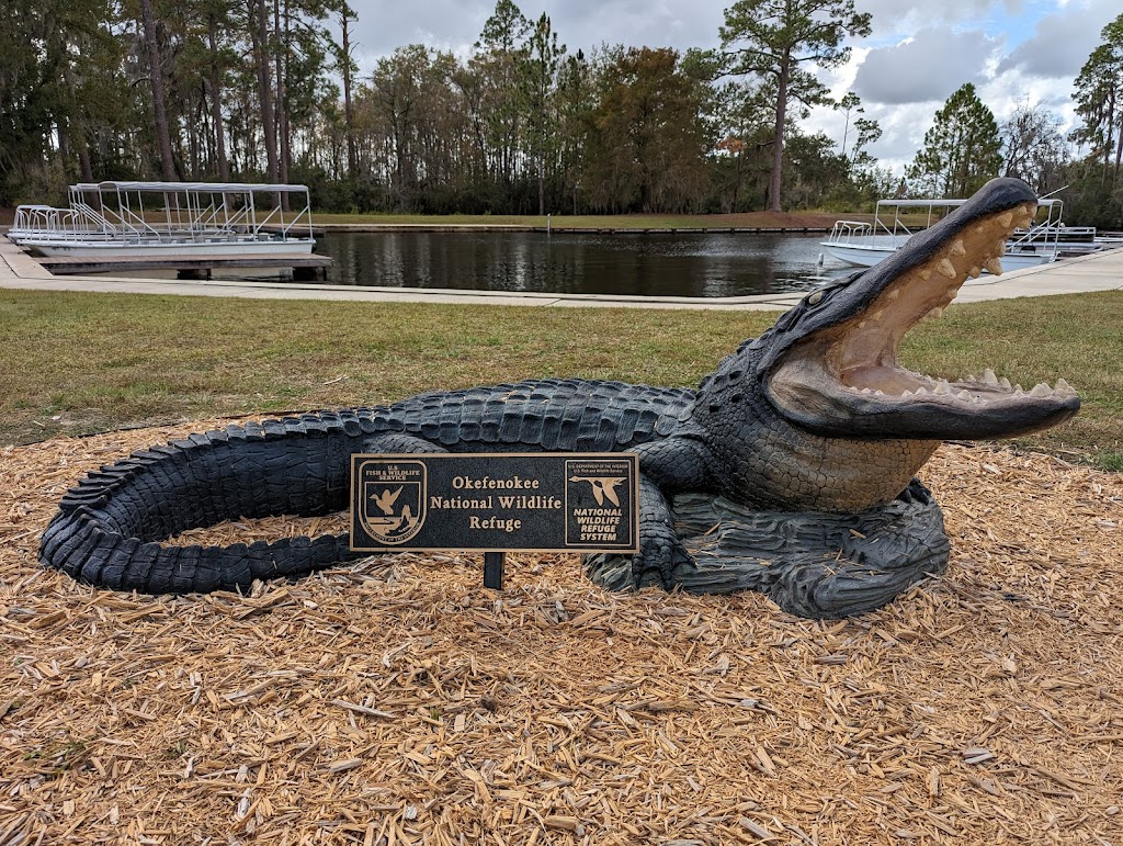 Okefenokee National Wildlife Refuge | 4155 Suwannee Canal Road, Folkston, GA 31537, USA | Phone: (912) 496-7836