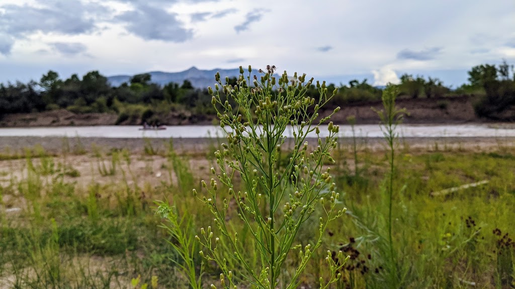 Rio Rancho Bosque Preserve - Riverside Dr Entrance | 1740 Black River Dr NE, Rio Rancho, NM 87144, USA | Phone: (505) 891-5015