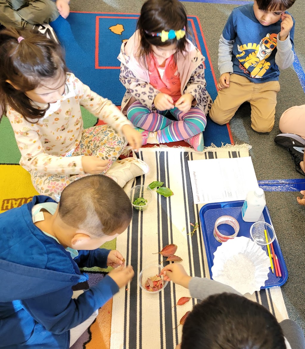 Learn And Play® Montessori School | 11900 Silvergate Dr, Dublin, CA 94568, USA | Phone: (925) 248-2200