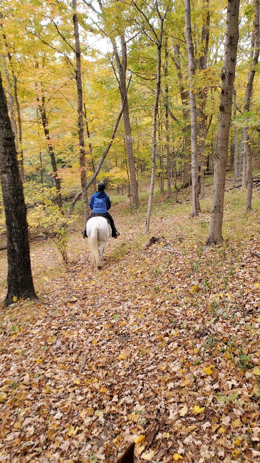 Hartig Park & Wild Life Reserve | 5660, KY-1992, Warsaw, KY 41095, USA | Phone: (859) 567-7020