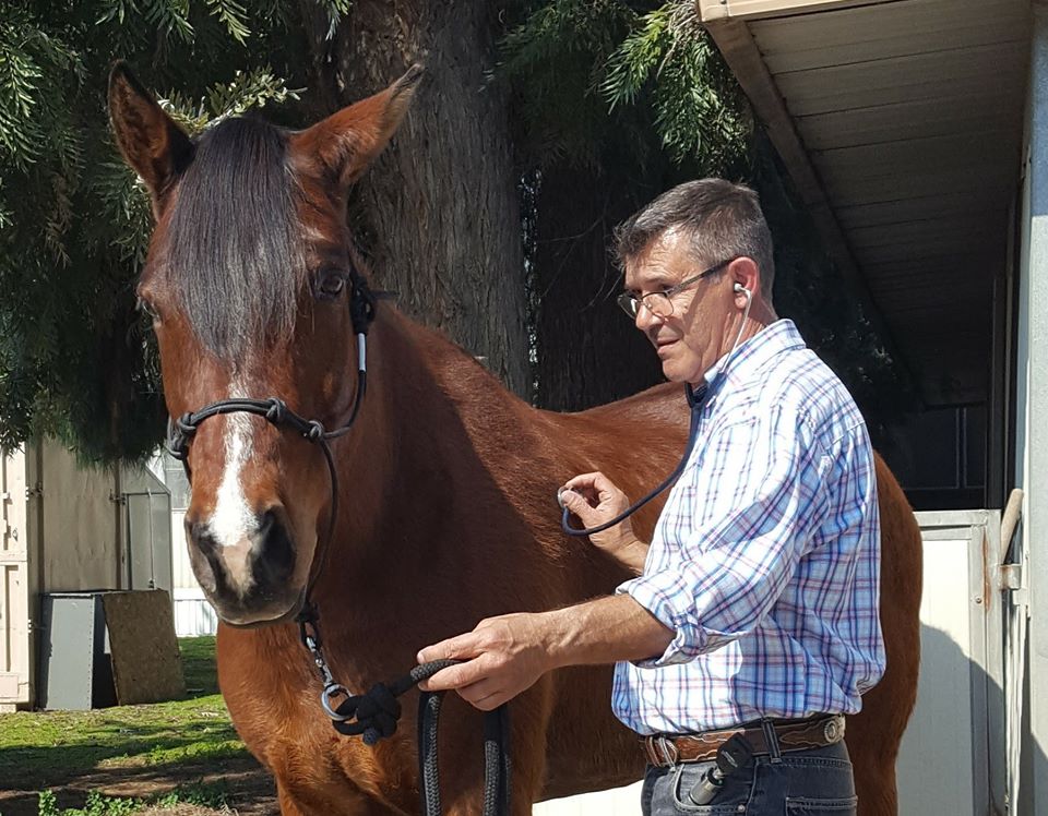 Tri Star Equine Veterinary Services | 24860 N Tully Rd, Acampo, CA 95220, USA | Phone: (209) 367-1160