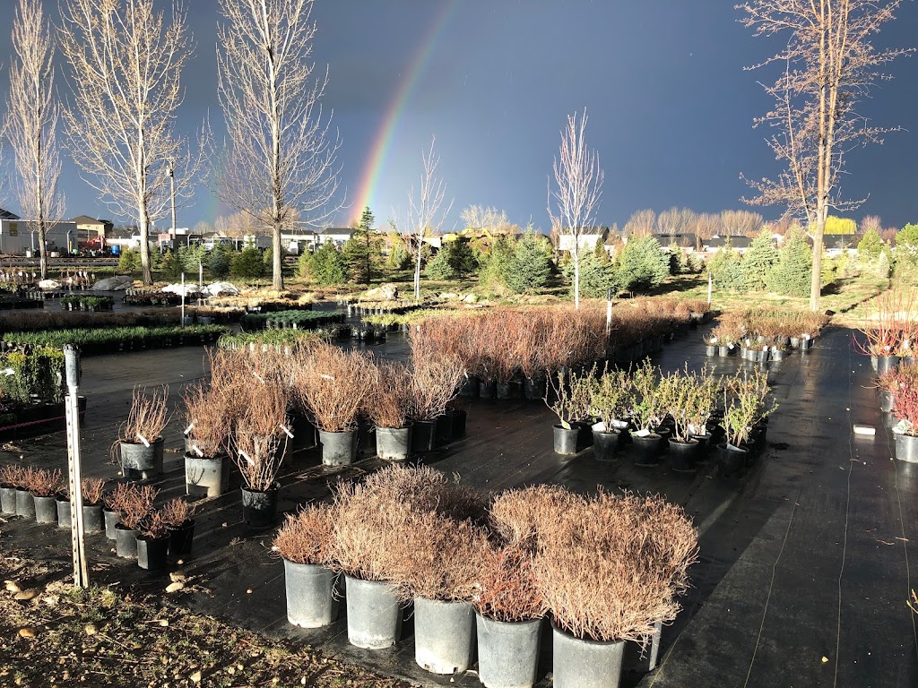 Arbor Farms Nursery | 16761 N Idaho Center Blvd, Nampa, ID 83687, USA | Phone: (208) 941-3000