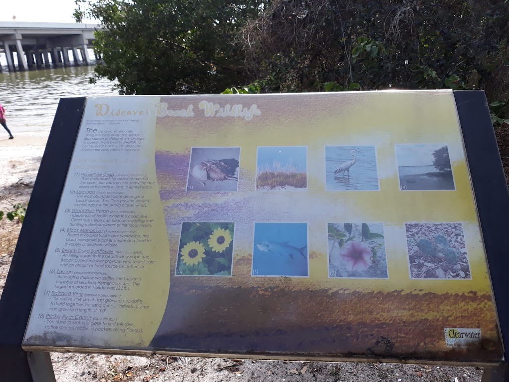 Bayview Park | 3035 Gulf to Bay Blvd, Clearwater, FL 33759, USA | Phone: (727) 562-4800