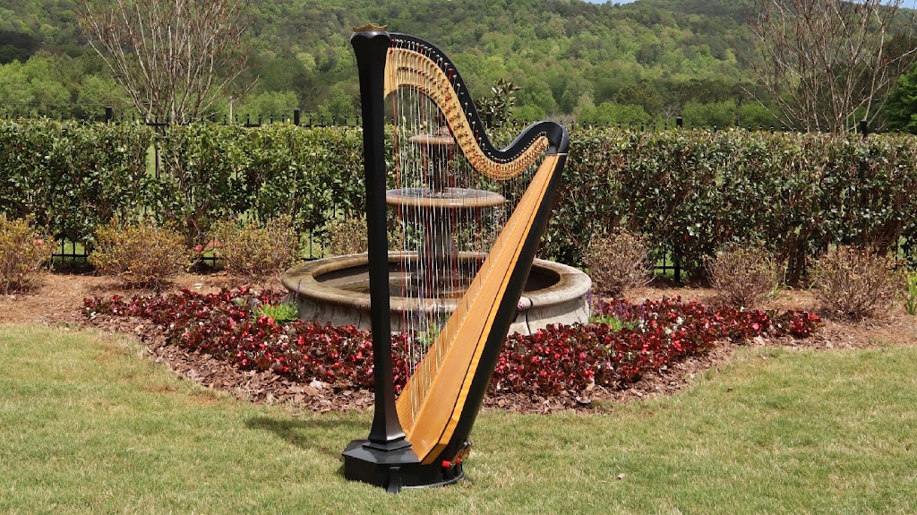 Tyler Hartley, Atlanta Harpist | 3107 Waterford Ct, Woodstock, GA 30188, USA | Phone: (678) 457-8396