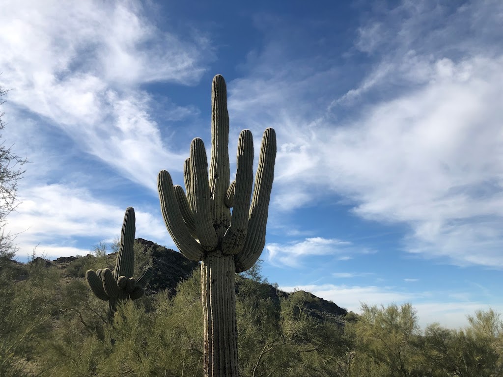 Goldmine Trailhead | 34316 Goldmine Gulch Trail, Queen Creek, AZ 85142 | Phone: (480) 655-5554