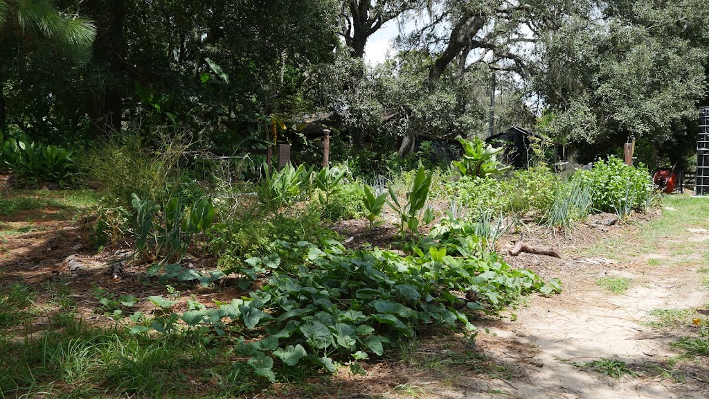 Grow Permaculture, LLC | 11251 Salina St, Brooksville, FL 34614, USA | Phone: (727) 266-0477