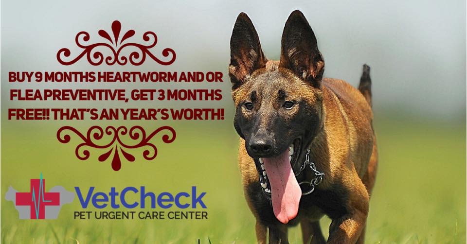 VetCheck Pet Urgent Care Center - Fishers IN | 14069 Mundy Dr, Fishers, IN 46038, USA | Phone: (317) 572-7557