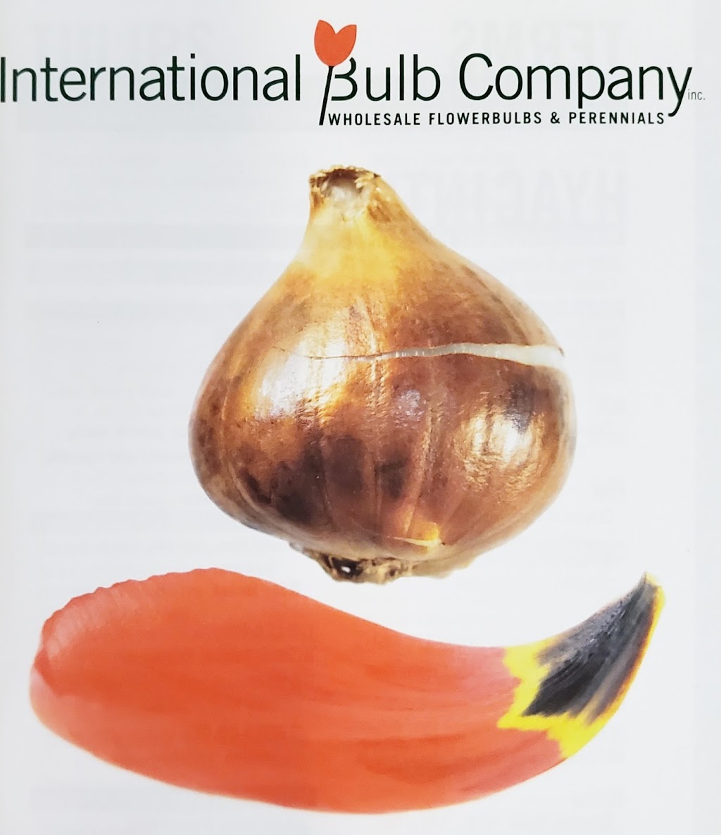 International Bulb Co | 5 Wortendyke Ave, Montvale, NJ 07645, USA | Phone: (201) 573-0363