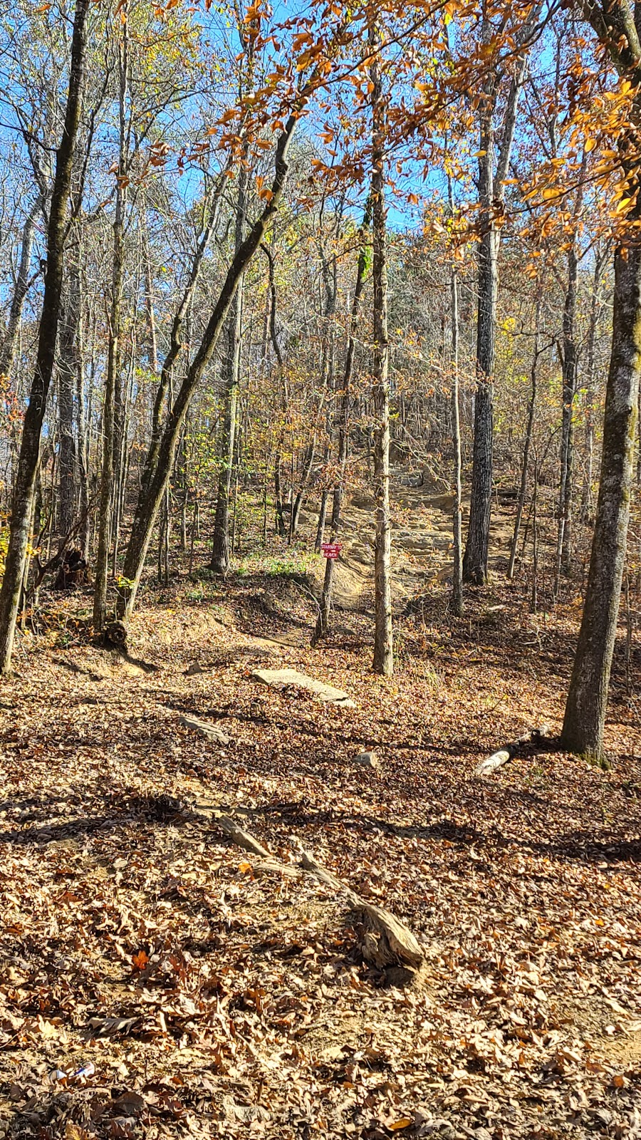 Stony Lonesome OHV Park | 10075 AL-69, Bremen, AL 35033, USA | Phone: (256) 287-1133