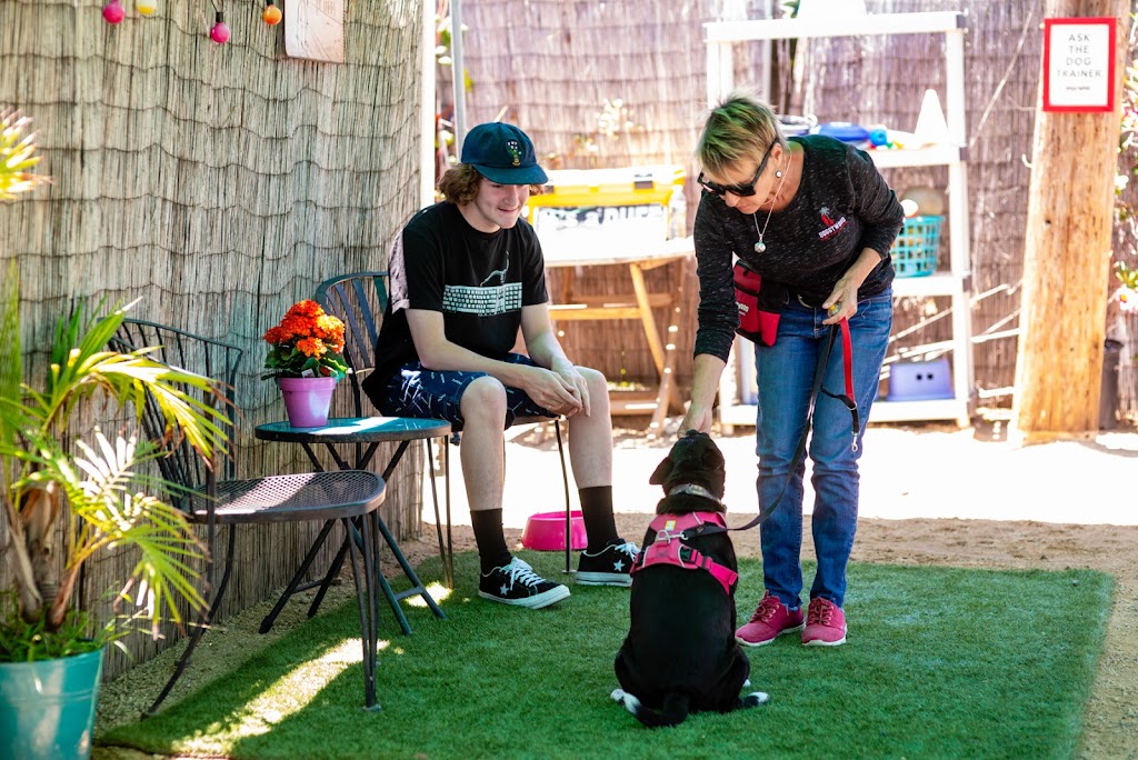 Doggywood Dog Training | 1114 N Coast Hwy 101, Encinitas, CA 92024, USA | Phone: (858) 342-4431