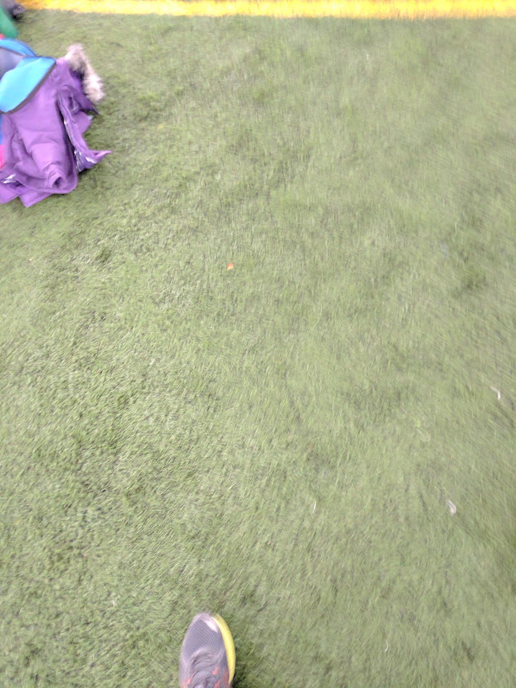 Savage Dome | Savage, MN 55378, USA | Phone: (952) 567-2095