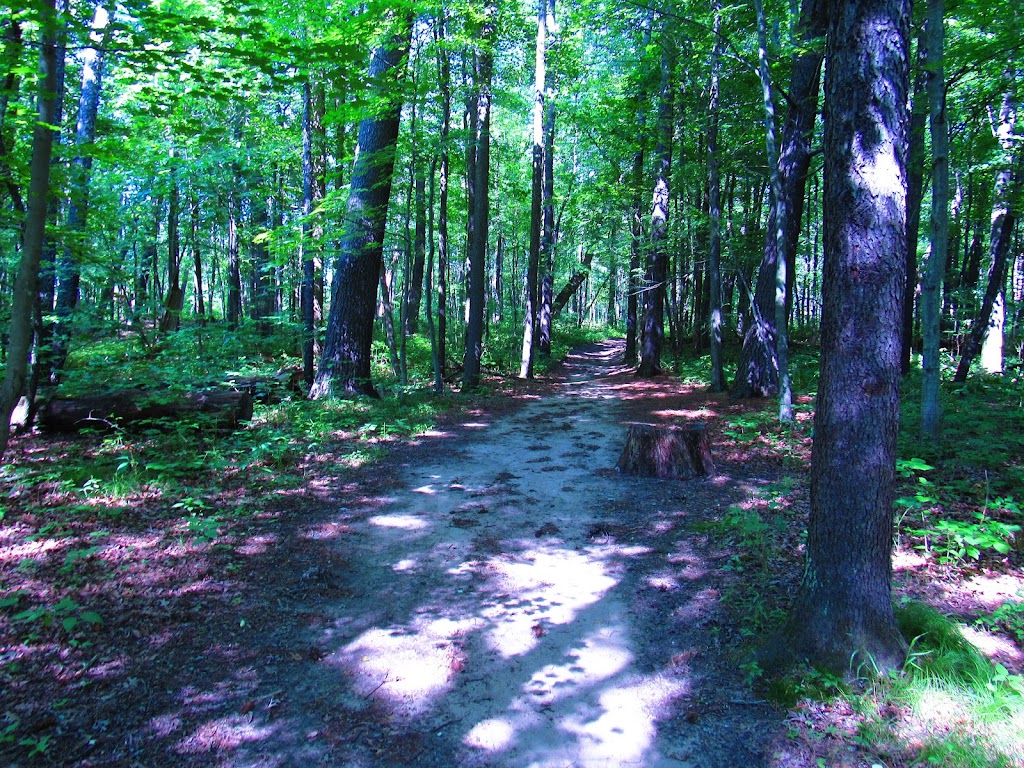 Stony Creek Metropark Nature Center | 4300 Main Park Road, Shelby Township, MI 48316, USA | Phone: (586) 781-4242