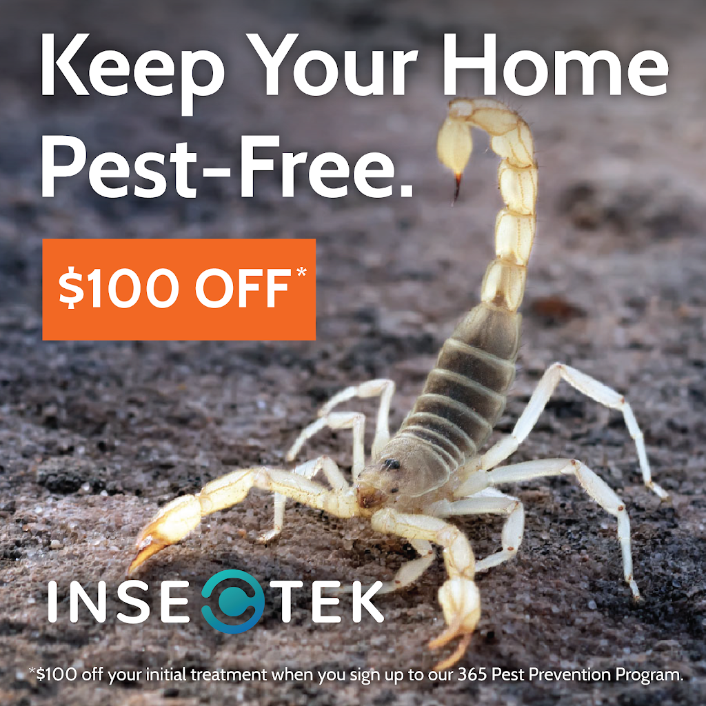 Insectek Pest Solutions | 1720 E Robin Ln Unit 3, Phoenix, AZ 85024, USA | Phone: (602) 878-7174