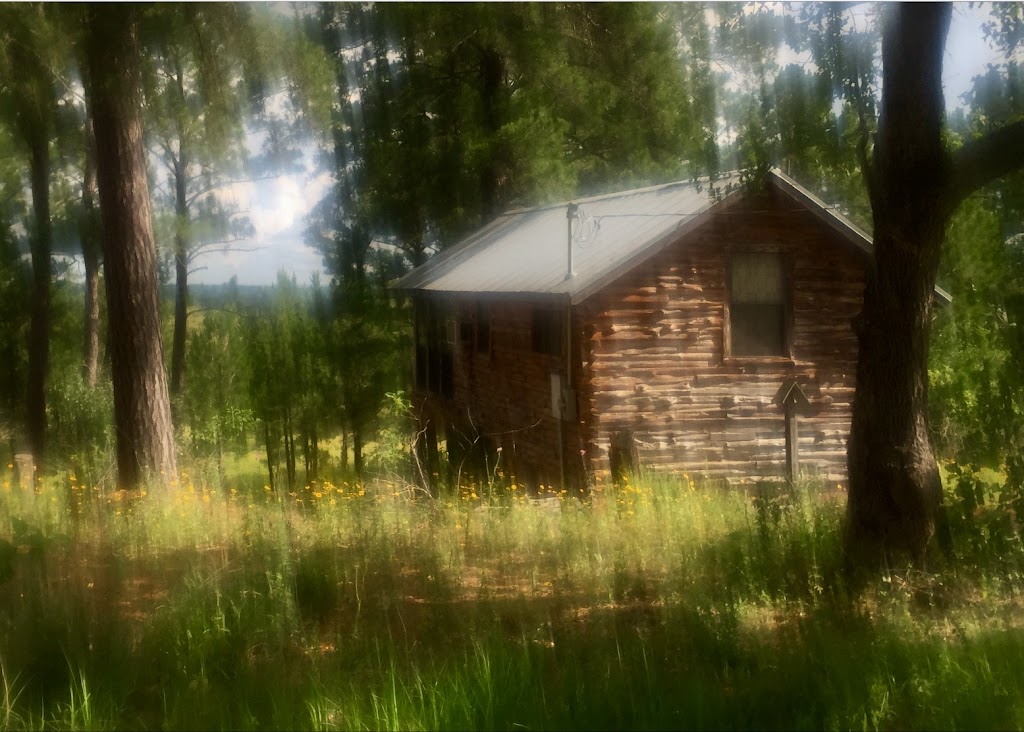 The Eagles Nest Log Cabin | 2158 TX-304 #4, Smithville, TX 78957, USA | Phone: (512) 497-9502